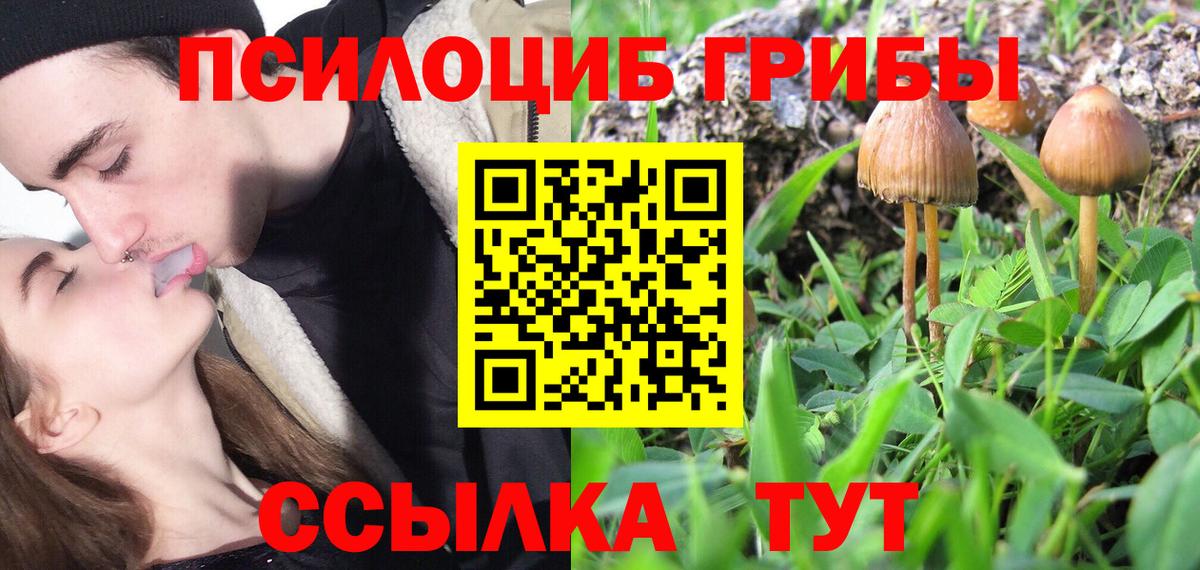 Елабуга  Галлюциногенные грибы Psilocybine cubensis  Вход с VPN  Галлюциногенные грибы ЛСД 